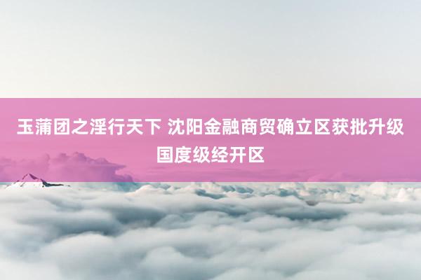 玉蒲团之淫行天下 沈阳金融商贸确立区获批升级国度级经开区