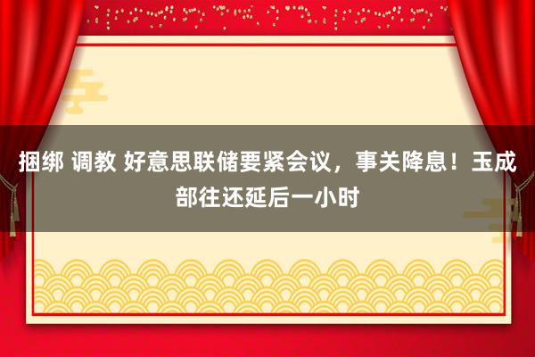 捆绑 调教 好意思联储要紧会议，事关降息！玉成部往还延后一小时