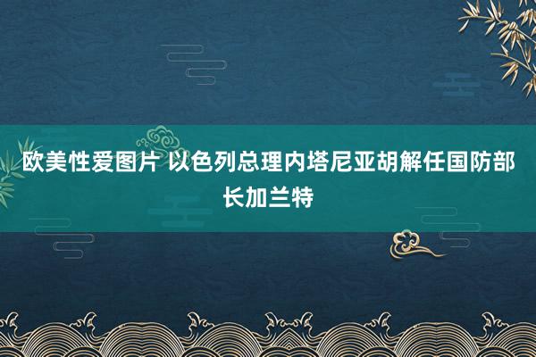 欧美性爱图片 以色列总理内塔尼亚胡解任国防部长加兰特