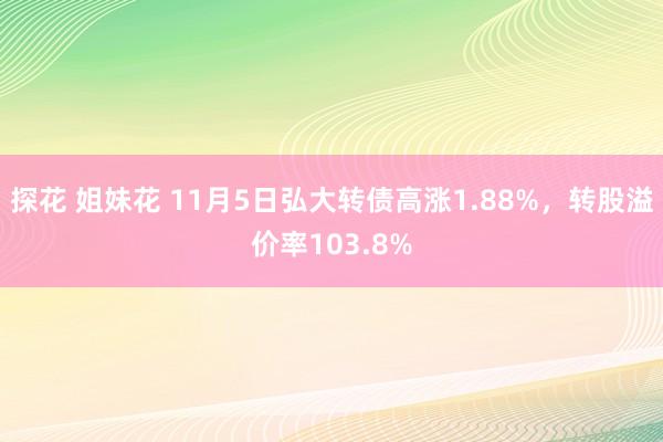 探花 姐妹花 11月5日弘大转债高涨1.88%，转股溢价率103.8%