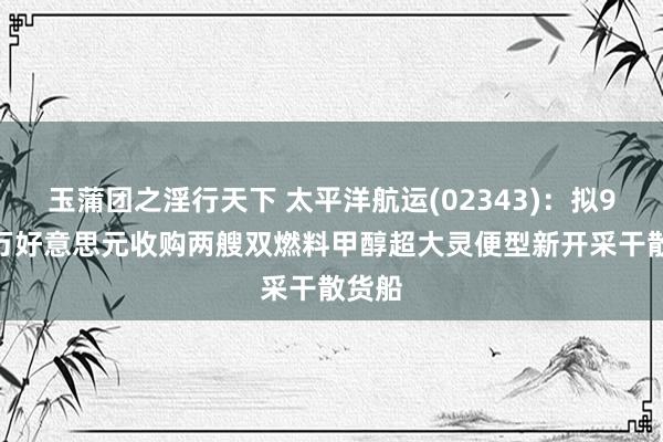 玉蒲团之淫行天下 太平洋航运(02343)：拟9300万好意思元收购两艘双燃料甲醇超大灵便型新开采干散货船