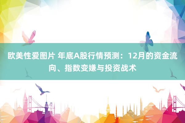 欧美性爱图片 年底A股行情预测：12月的资金流向、指数变嫌与投资战术