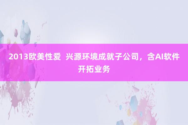 2013欧美性爱  兴源环境成就子公司，含AI软件开拓业务