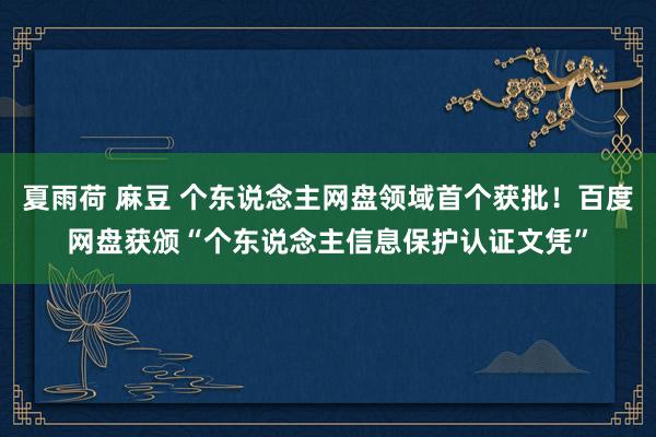 夏雨荷 麻豆 个东说念主网盘领域首个获批！百度网盘获颁“个东说念主信息保护认证文凭”