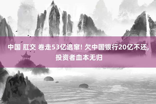 中国 肛交 卷走53亿逃窜! 欠中国银行20亿不还， 投资者血本无归