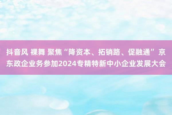 抖音风 裸舞 聚焦“降资本、拓销路、促融通” 京东政企业务参加2024专精特新中小企业发展大会