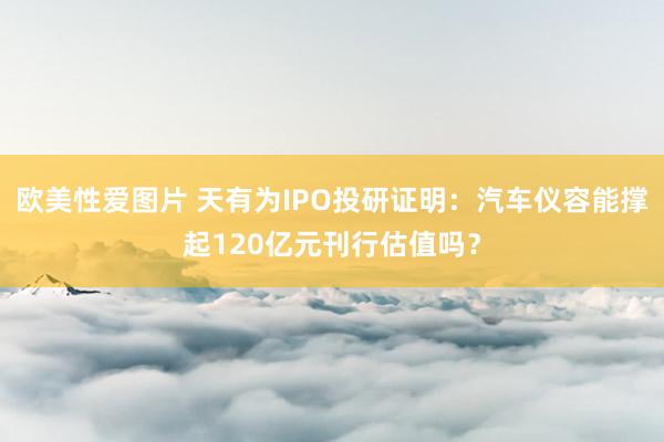 欧美性爱图片 天有为IPO投研证明：汽车仪容能撑起120亿元刊行估值吗？