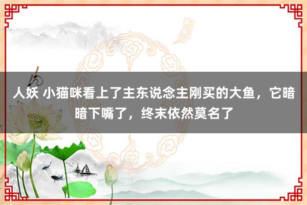 人妖 小猫咪看上了主东说念主刚买的大鱼，它暗暗下嘴了，终末依然莫名了