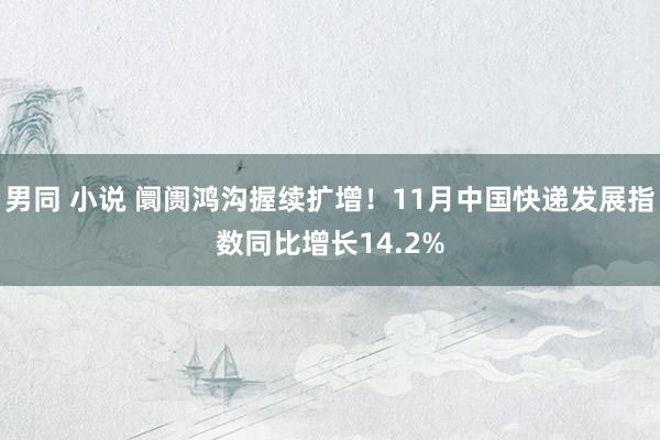 男同 小说 阛阓鸿沟握续扩增！11月中国快递发展指数同比增长14.2%