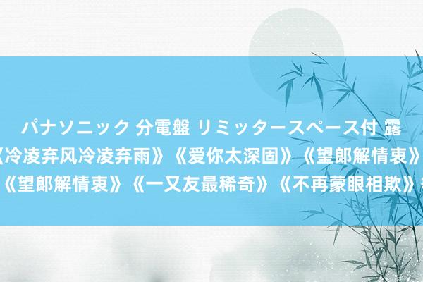 パナソニック 分電盤 リミッタースペース付 露出・半埋込両用形 黎亚《冷凌弃风冷凌弃雨》《爱你太深固》《望郞解情衷》《一又友最稀奇》《不再蒙眼相欺》等12首甜歌