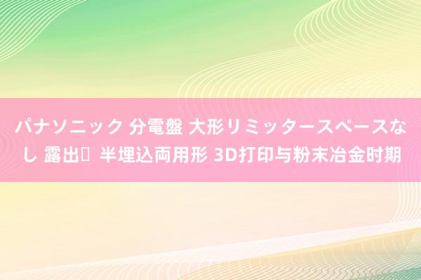 パナソニック 分電盤 大形リミッタースペースなし 露出・半埋込両用形 3D打印与粉末冶金时期