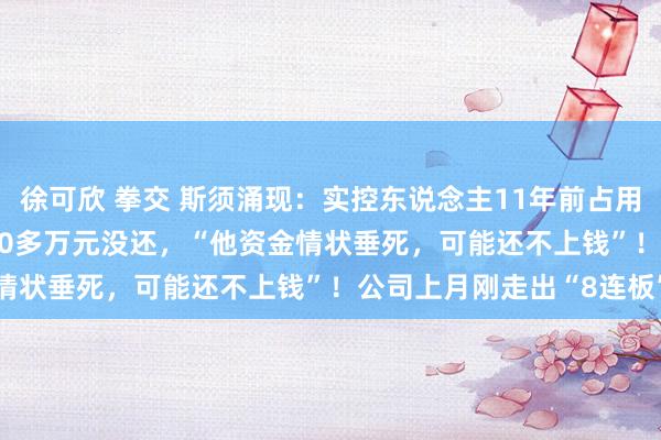 徐可欣 拳交 斯须涌现：实控东说念主11年前占用的4800万元，还有3000多万元没还，“他资金情状垂死，可能还不上钱”！公司上月刚走出“8连板”