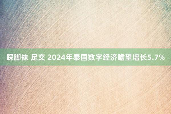 踩脚袜 足交 2024年泰国数字经济瞻望增长5.7%