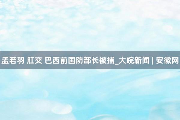 孟若羽 肛交 巴西前国防部长被捕_大皖新闻 | 安徽网