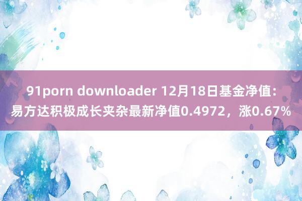 91porn downloader 12月18日基金净值：易方达积极成长夹杂最新净值0.4972，涨0.67%