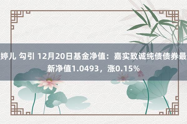 婷儿 勾引 12月20日基金净值：嘉实致诚纯债债券最新净值1.0493，涨0.15%