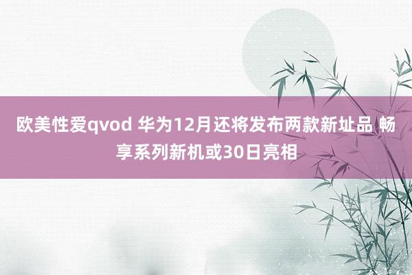 欧美性爱qvod 华为12月还将发布两款新址品 畅享系列新机或30日亮相