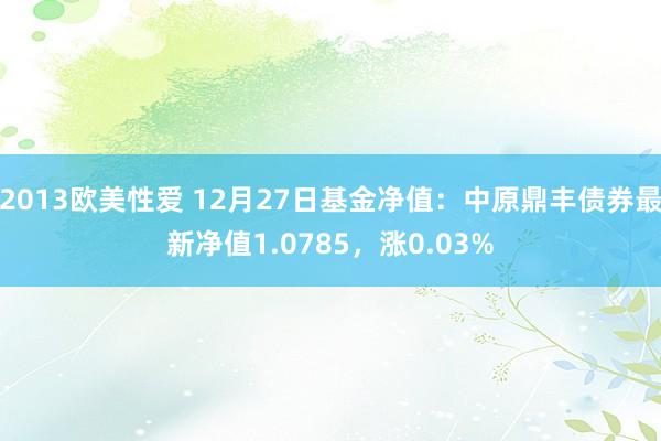 2013欧美性爱 12月27日基金净值：中原鼎丰债券最新净值1.0785，涨0.03%