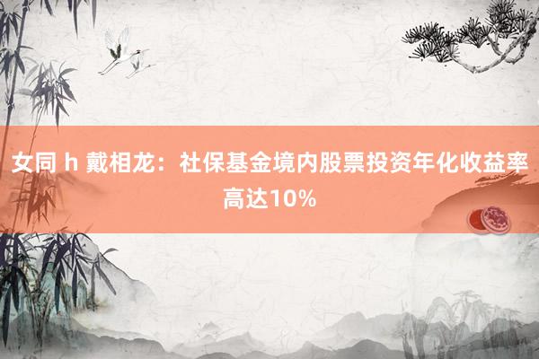 女同 h 戴相龙：社保基金境内股票投资年化收益率高达10%