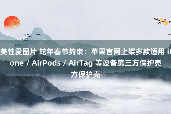 欧美性爱图片 蛇年春节约束：苹果官网上架多款适用 iPhone / AirPods / AirTag 等设备第三方保护壳