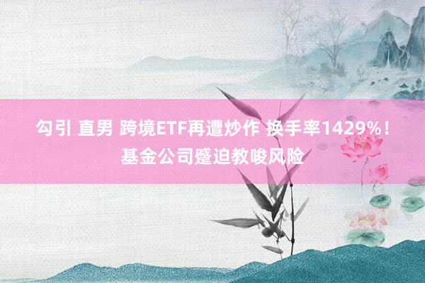 勾引 直男 跨境ETF再遭炒作 换手率1429%！基金公司蹙迫教唆风险